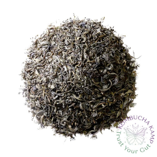 Kombucha Kamp Jasmine Green Tea Review
