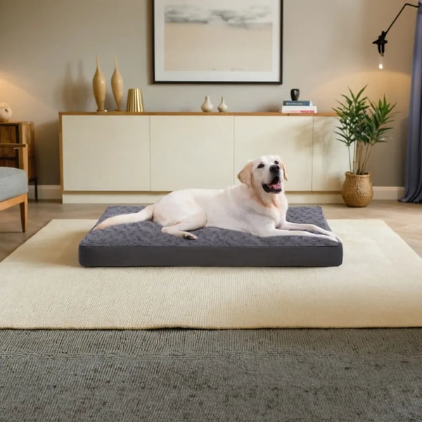 KSIIA Waterproof Dog Bed Review