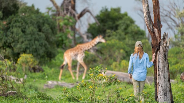 Kuoni Governor's Safari Review