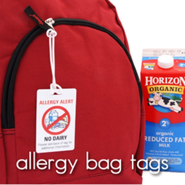 Label Your Stuff Allergy Alert Bag Tags Review