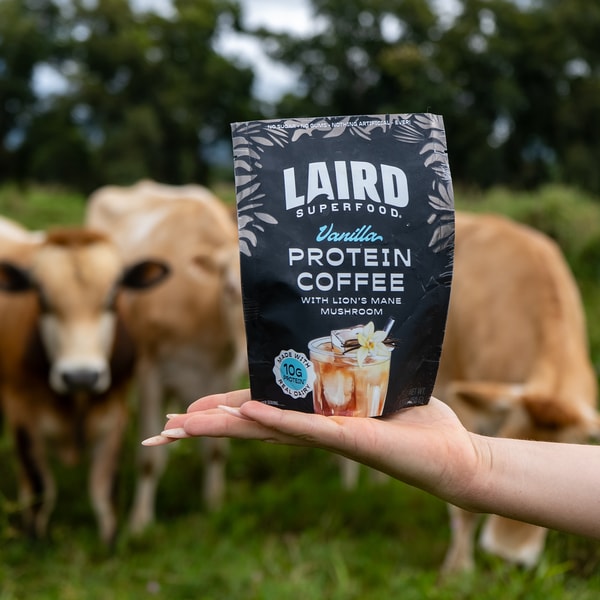 Laird Superfood Vanilla Protein Coffee Review