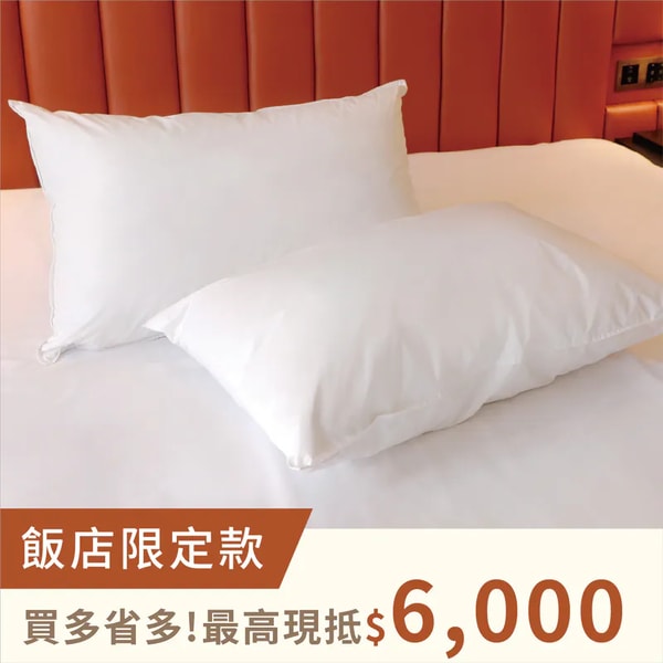 Lakeshore Hotel 好眠羽絨枕 評測
