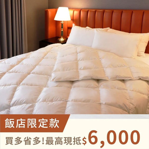 关于 Lakeshore Hotel
