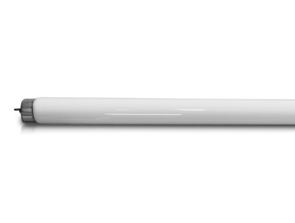 Lamp Station INSECT KILLER TUBE Review