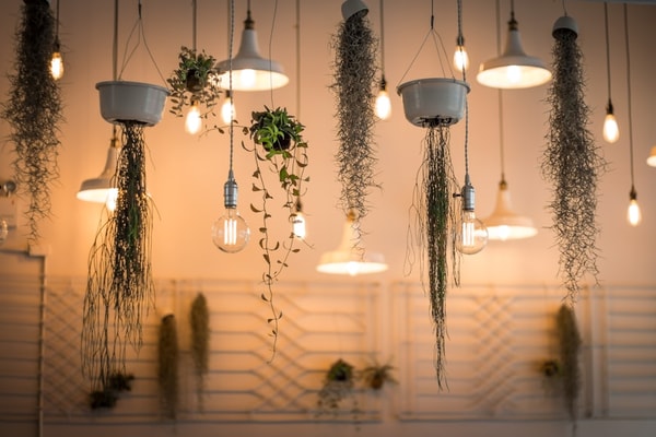 Lampenlicht Beoordeling