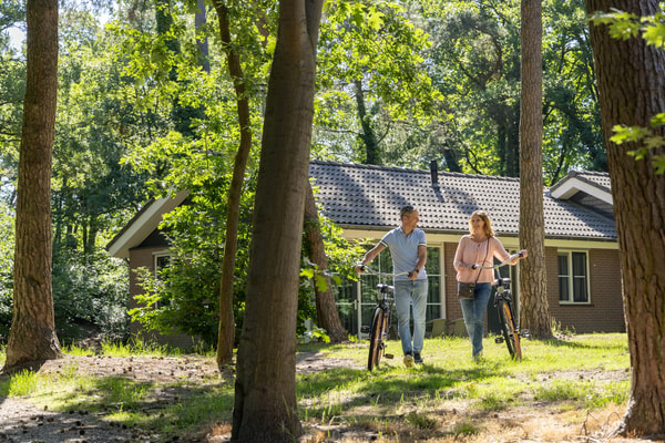 About Landal Holiday Lodges