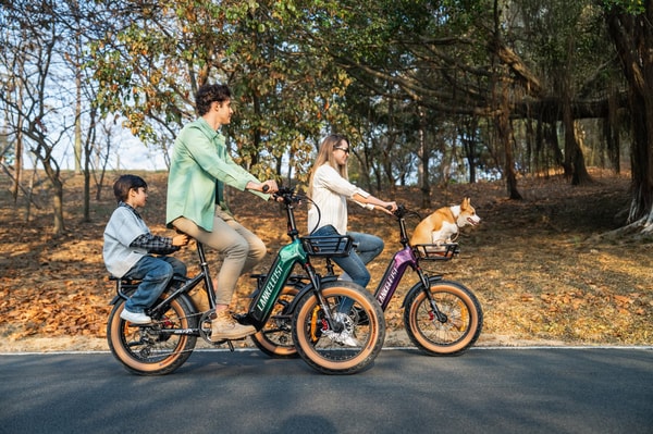 About Lankeleisi Bikes