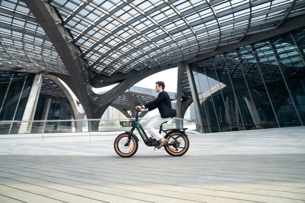 Overview of Lankeleisi Bikes