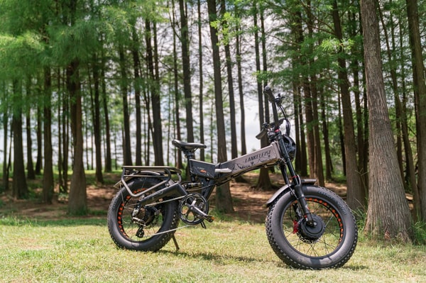 Lankeleisi Bikes Review