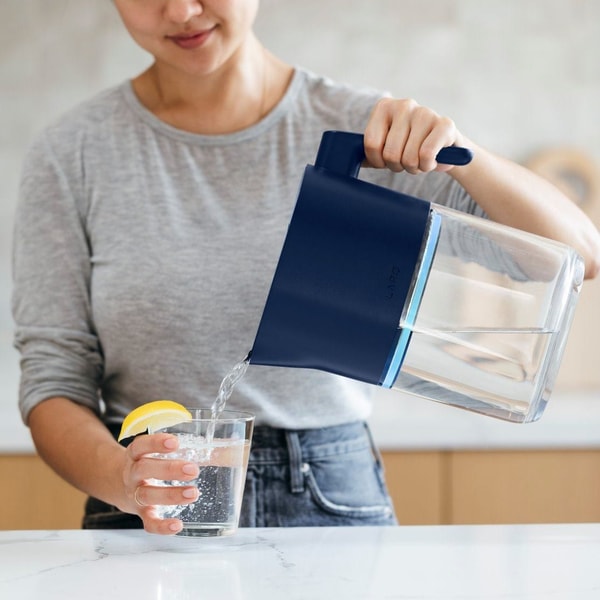 LARQ Pitcher PureVis Review