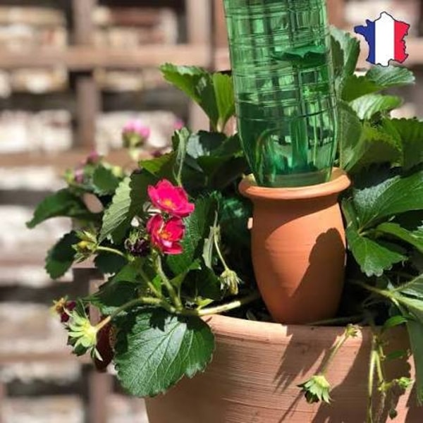 &Agrave; propos de L'Arroseur arros&eacute;