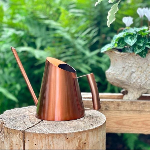 L'Arroseur arros&eacute; Arrosoir d'int&eacute;rieur Design Avis