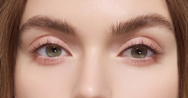 About Lashterally