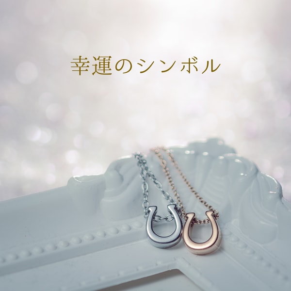 Lauss Jewelry 幸運のホースシュー ペアネックレス レビュー