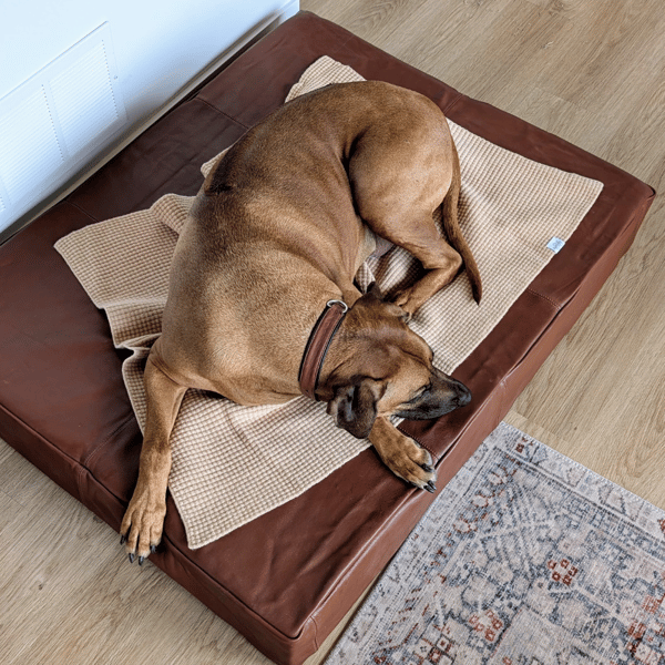 Le Dog Company Review