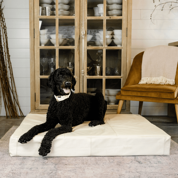 Le Dog Company Le Bed Review