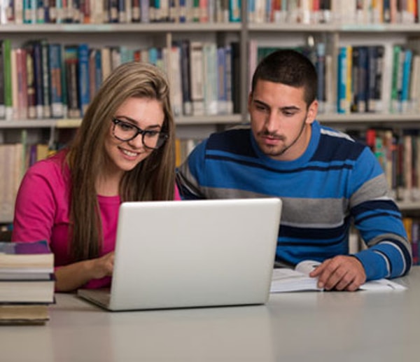 LearnOasis Language Courses Review