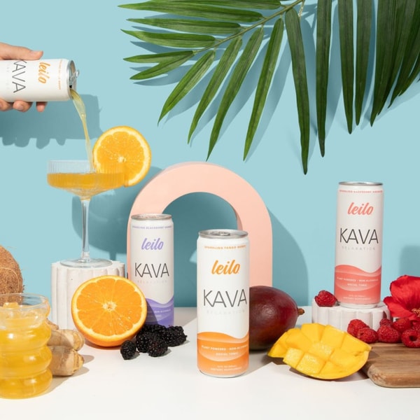 Leilo The Classics Variety-Pack Review