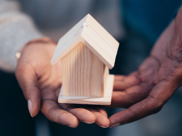Lemonade Homeowners Insurance Review