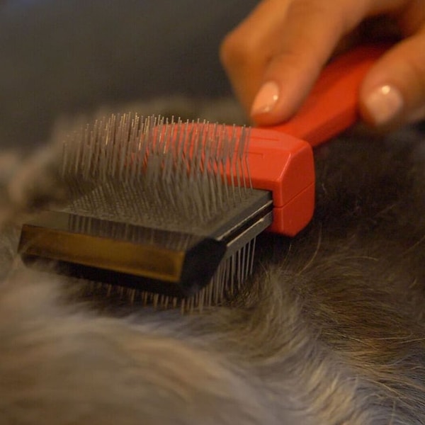 Les Poochs Mat Zapper Dematting Brush Review