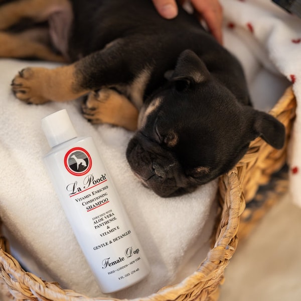 Les Poochs Vitamin Enriched Conditioning Shampoo Review