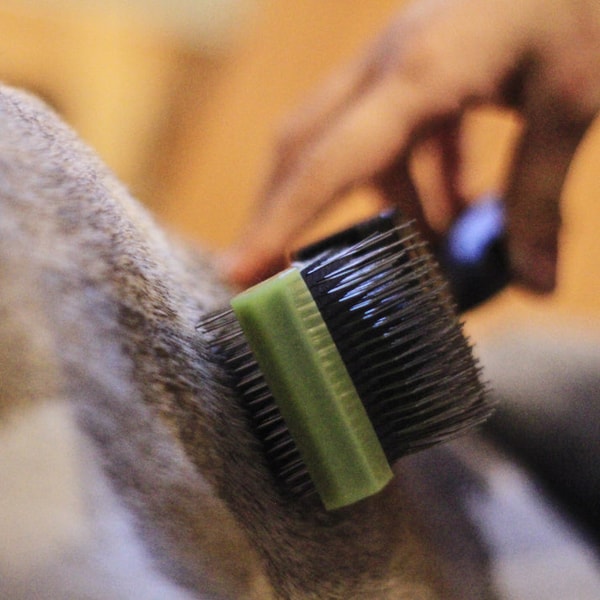 Les Poochs Pro Brush Medium Flexible Head Review