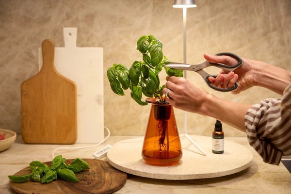 About Lettuce Grow