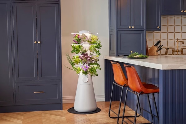 Lettuce Grow Farmstand Nook Review