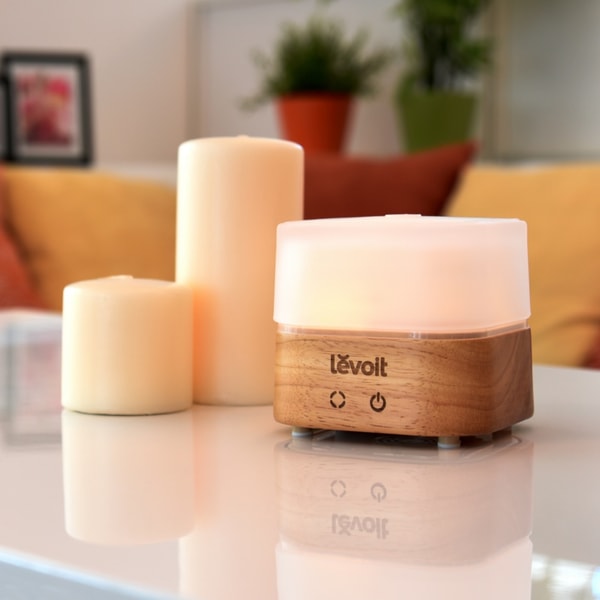 Levoit Review