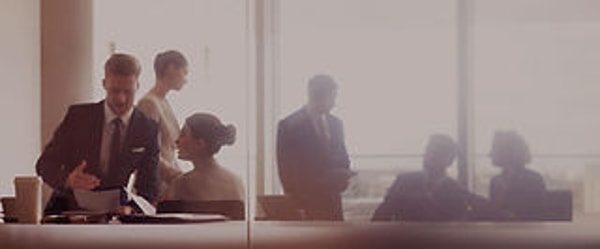 LexEcon Consulting Group Service Review