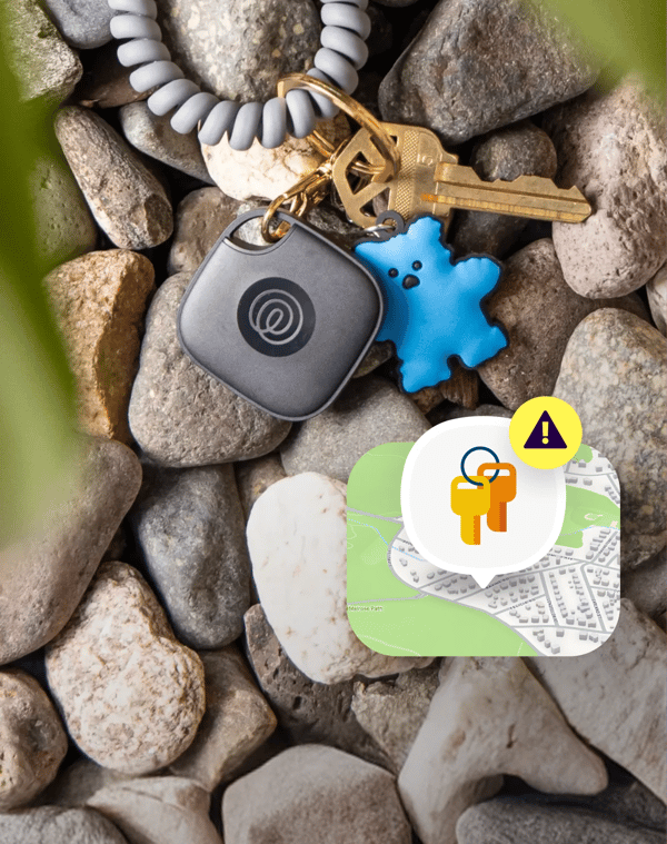 Life360 Overview