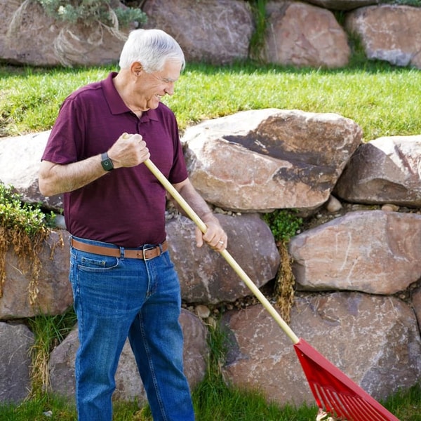 LifeFone vs Life Alert
