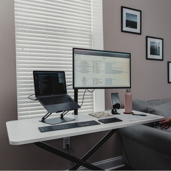 Lillipad Monitor Arms Review