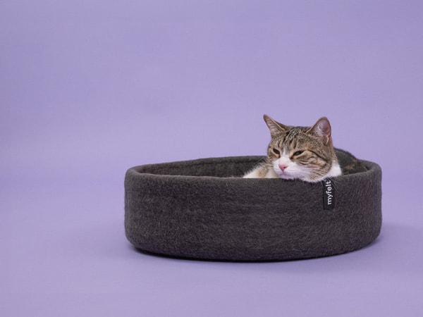 Lilo's Nature Kuno kattenmand Beoordeling