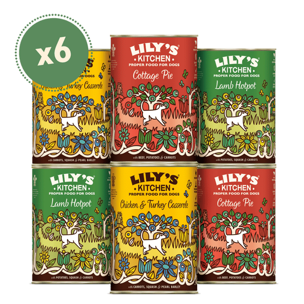 Lily's Kitchen Classic Wet Dog Food Review