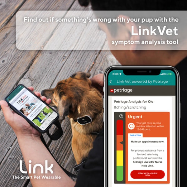 Link My Pet Smart Wearable Review
