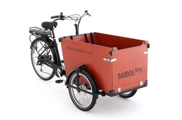 Babboe Dog-E Review