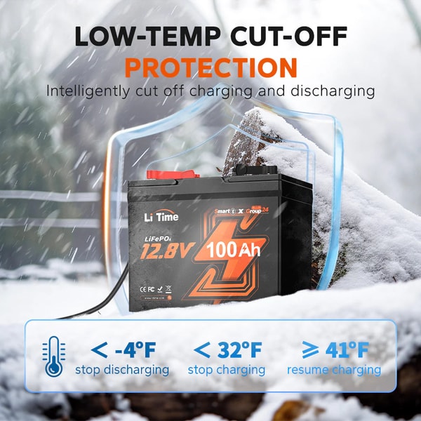 LiTime 12V 100Ah Group24 Smart Low-Temp Bluetooth Reviews