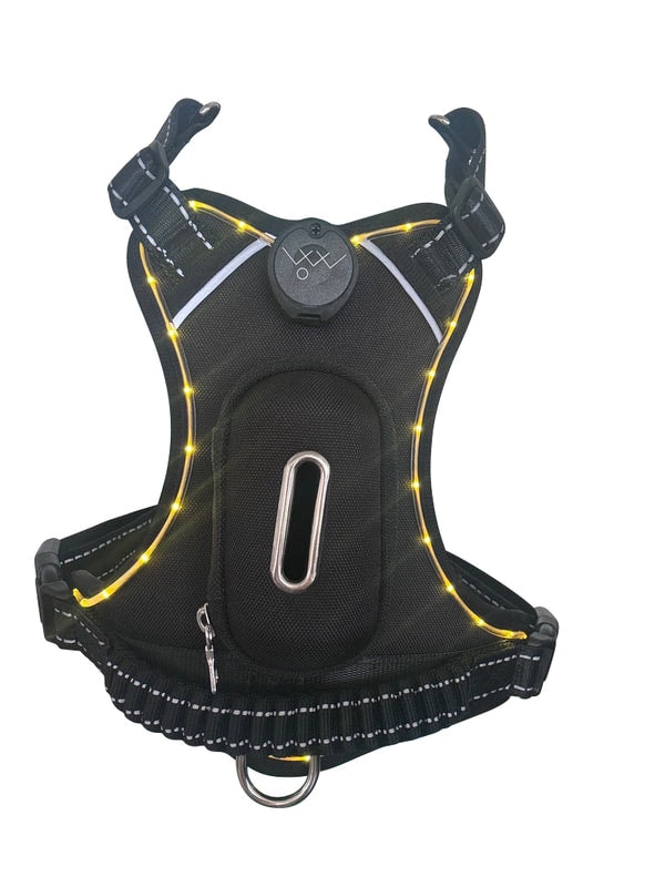 LITO: Luxury in the Outdoors Light Up Dog Harness Review