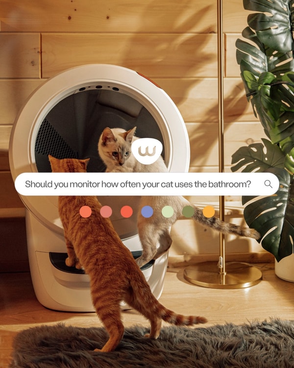 Litter-Robot Review