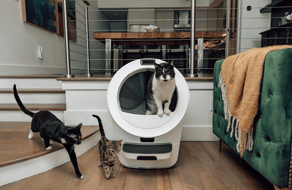 Litter-Robot 5 Pro Review