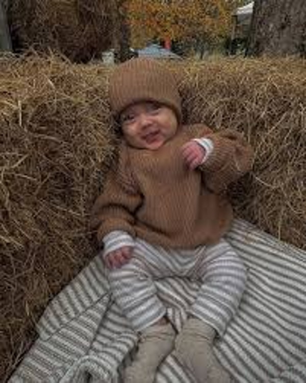 Little Novice Review