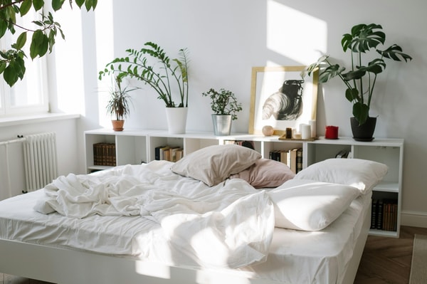About Live Comfortably