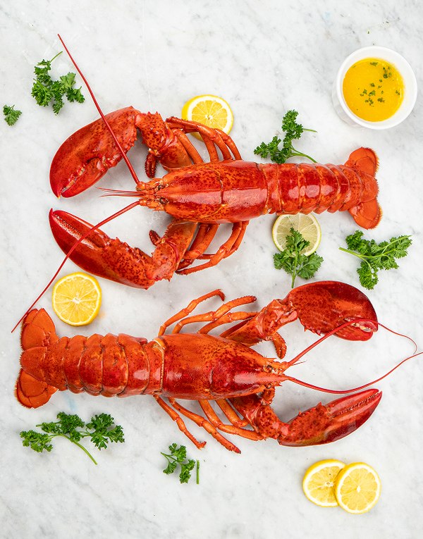 Lobster Boys Chick Lobsters Reviews