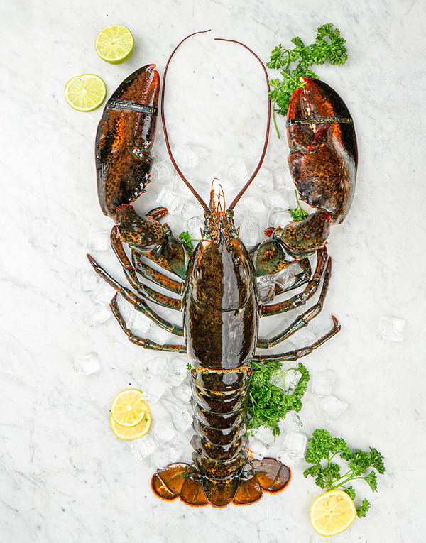Lobster Boys Halve Lobsters Reviews