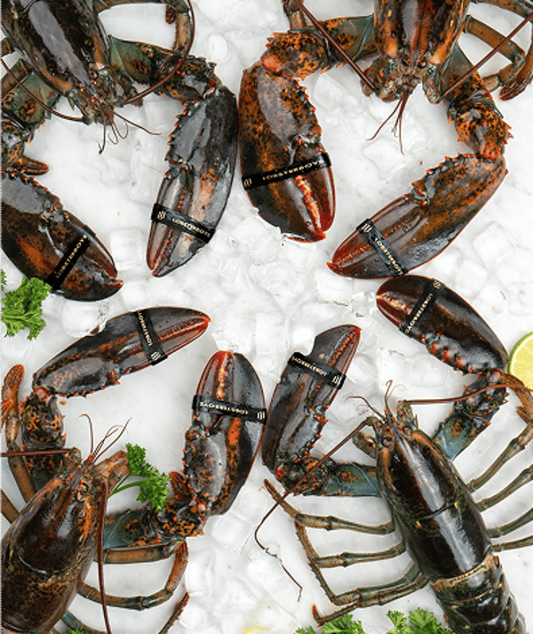 Lobster Boys Review