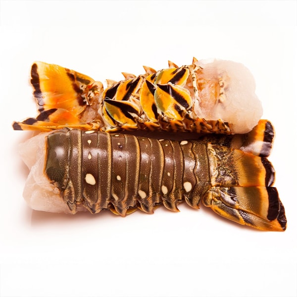 Lobsterking Langusten Schwanz Bewertung