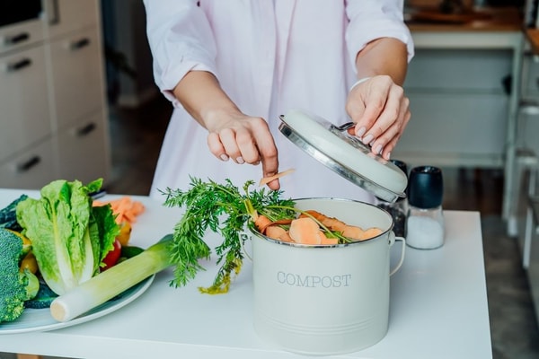 About Lomi Composter