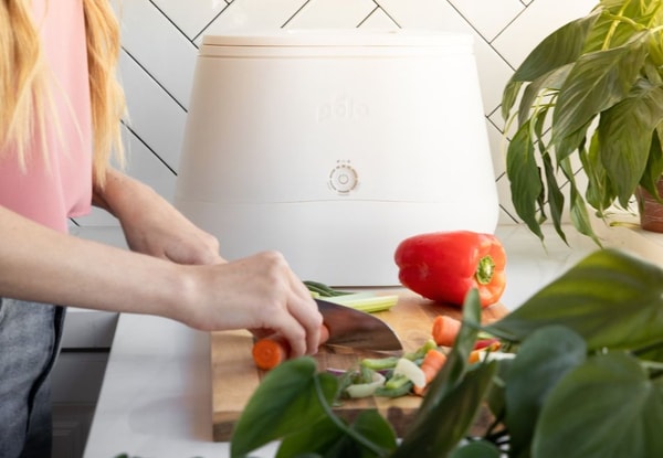 Lomi Composter Review