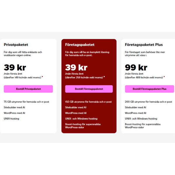 Loopia Corporate Package Recension